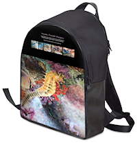 Searching for the Perfect Shell