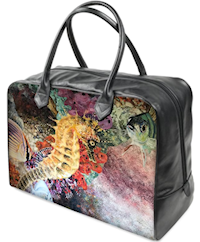 Searching for the Perfect Shell