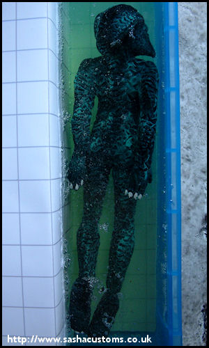 Fish-Monster - Aerial View