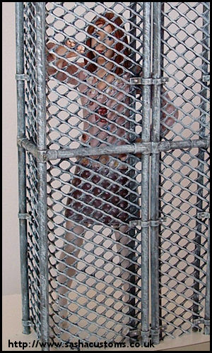 Willow - Caged