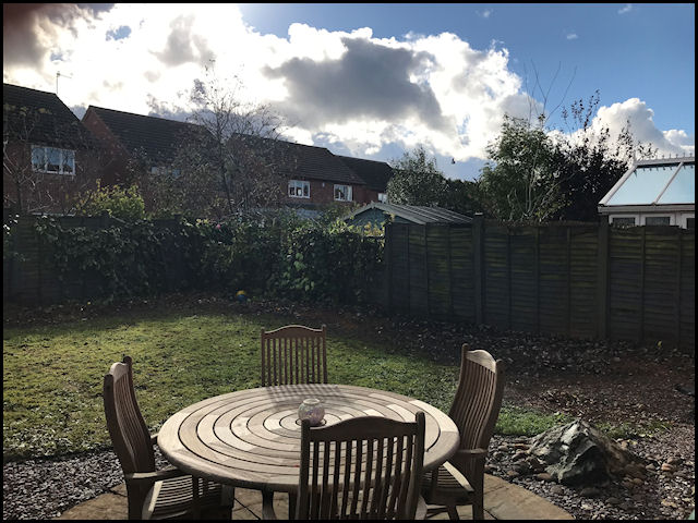 Pool Powell - Looking Stark