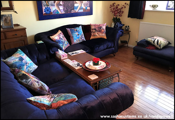 Soft Velvet Cushions - Vanda Powell Designs