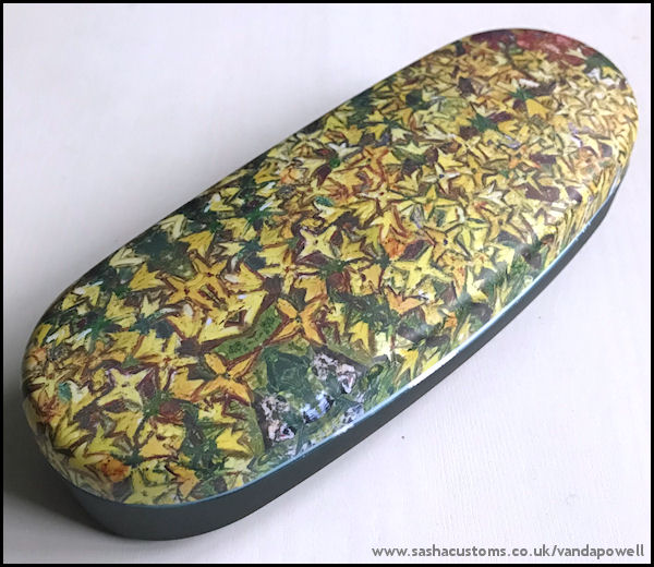Aconbury Close Forsythia (Hard Glasses Case with Matching Cleaning Cloth) - Vanda Powell Designs