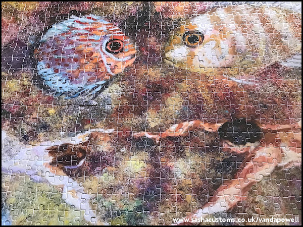 Close-Up - Ra Meeting Proteus (1000 Piece Jigsaw) - Vanda Powell Designs